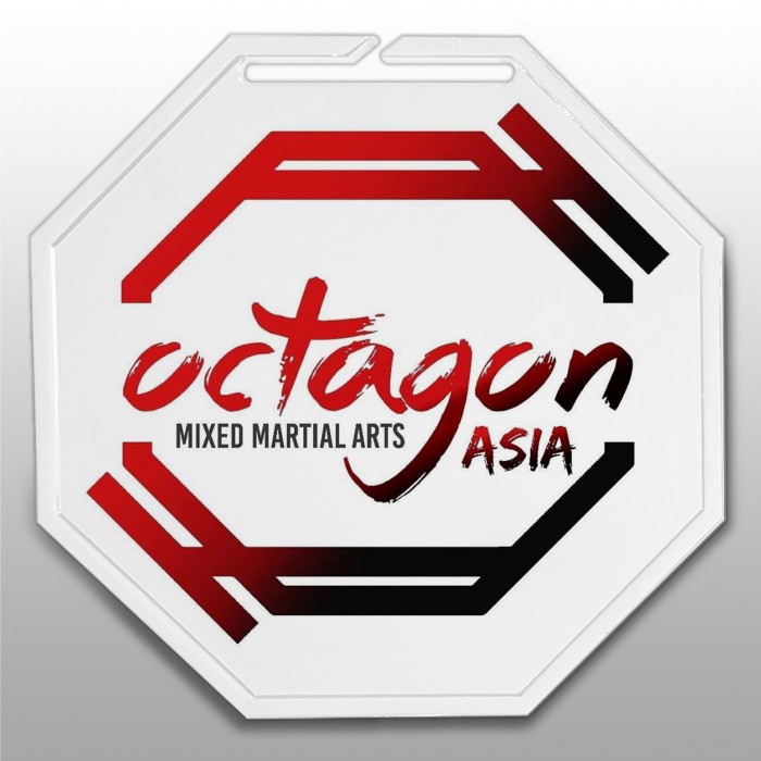 100MM OCTAGON MEDAL (3MM THICK) - GOLD, SILVER, BRONZE, BLACK OR WHITE